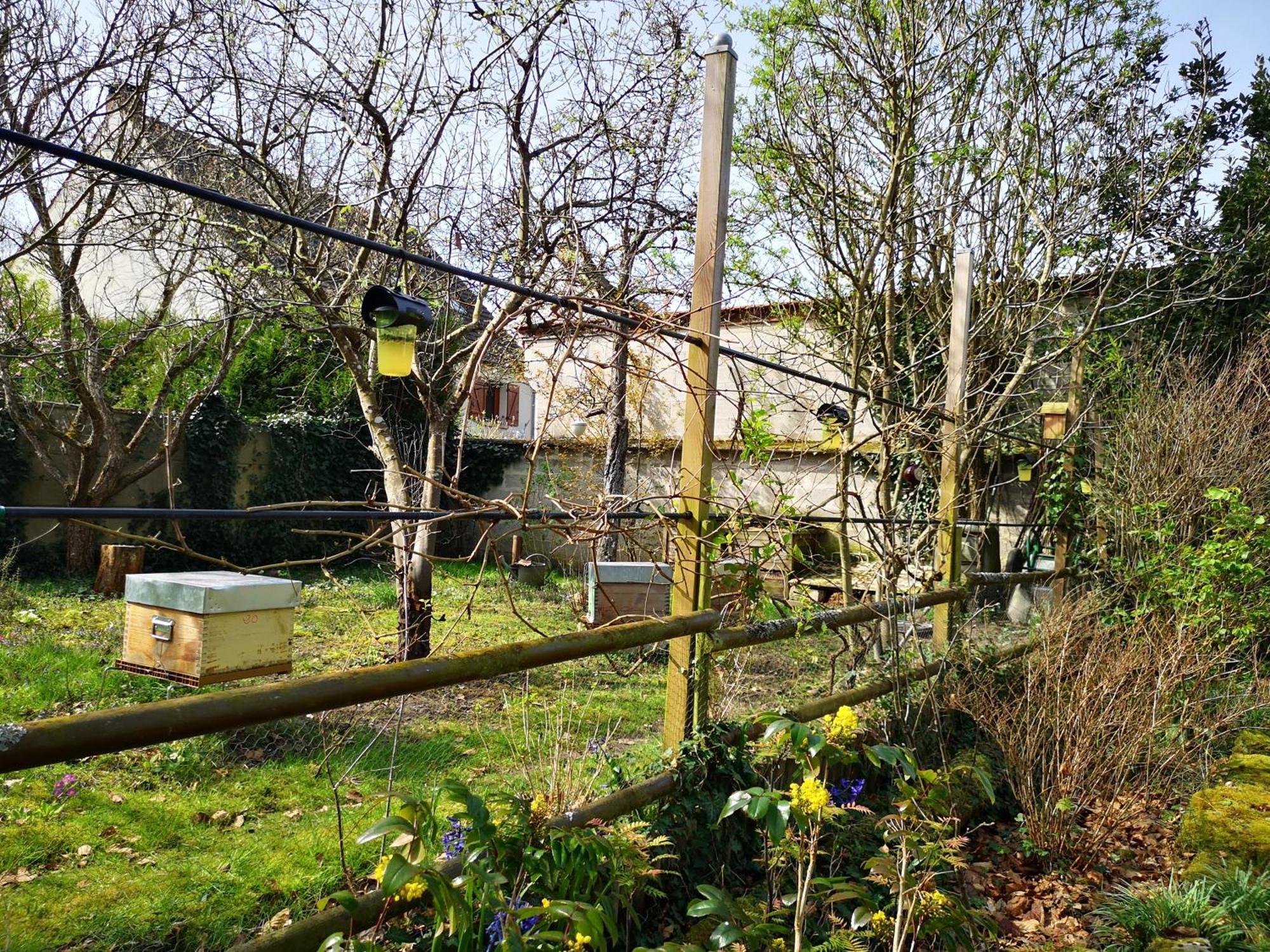 Villa Le Cloky Thomery ภายนอก รูปภาพ