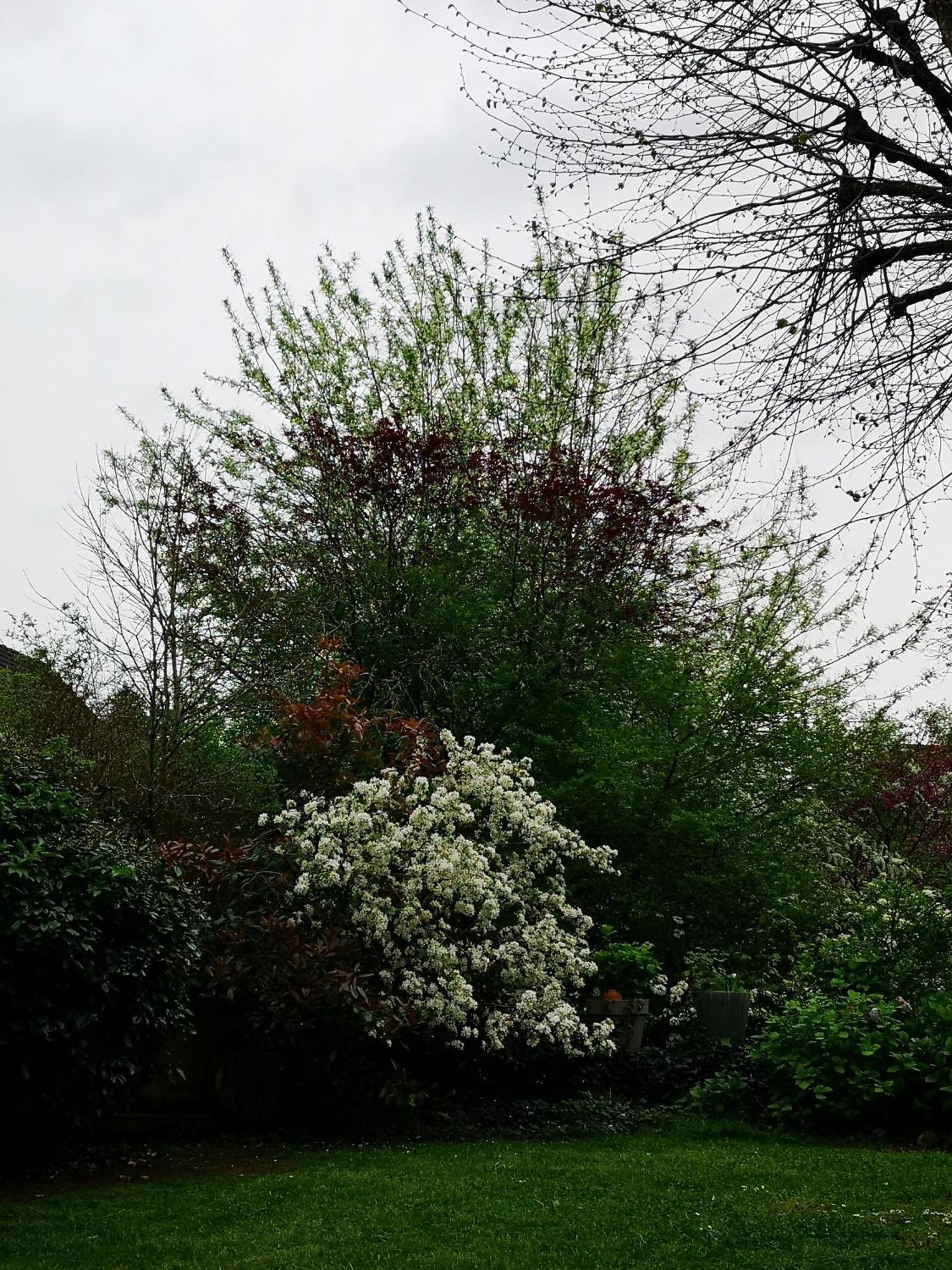 Villa Le Cloky Thomery ภายนอก รูปภาพ